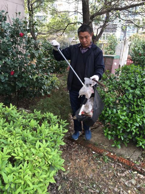 控制鼠害、预防疾病，，，，，构建协调文明社区